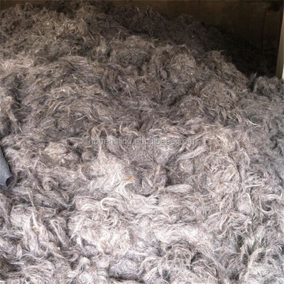 Scoured Clipped Goat Hair Goat Wool