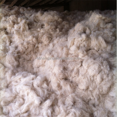 Scoured Clipped Goat Hair Goat Wool