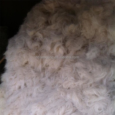 Scoured Clipped Goat Hair Goat Wool