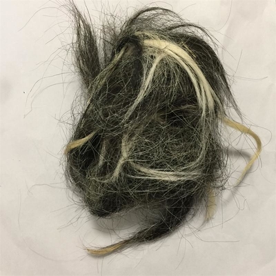 Scoured Chinese Grey Clipped Goat Hair