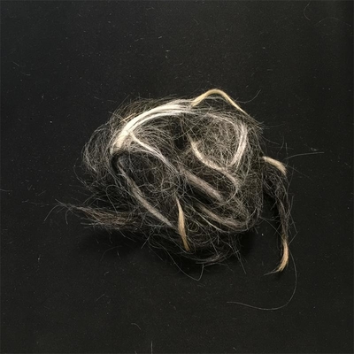 Scoured Chinese Grey Clipped Goat Hair