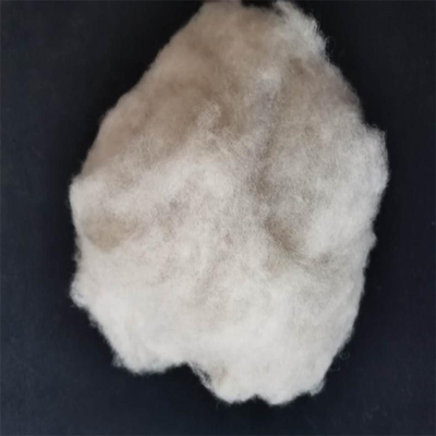 Scoured Dehaired Wool Sheep Wool Cashmere