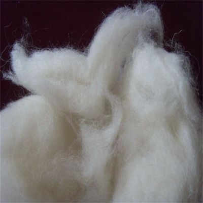 Wool Waste