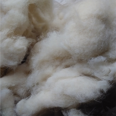 Wool Waste
