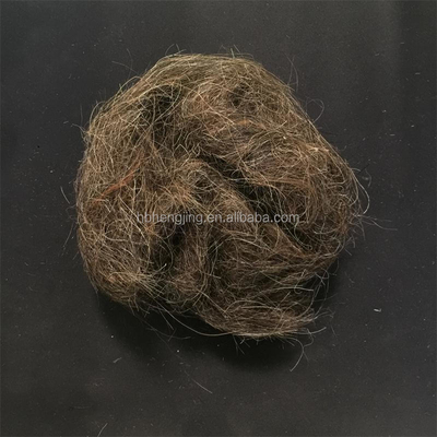 Washed Good Quality Clean Horse Tail Mane Hair Waste for Mattress
