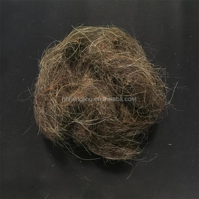 Washed Good Quality Clean Horse Tail Mane Hair Waste for Mattress