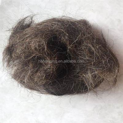 Washed Good Quality Clean Horse Tail Mane Hair Waste for Mattress