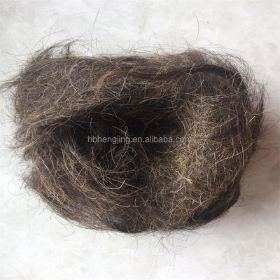 Washed Good Quality Clean Horse Tail Mane Hair Waste for Mattress