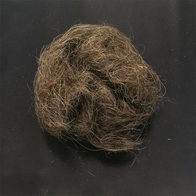 Washed Good Quality Clean Curled Horse Hair Waste for Mattress